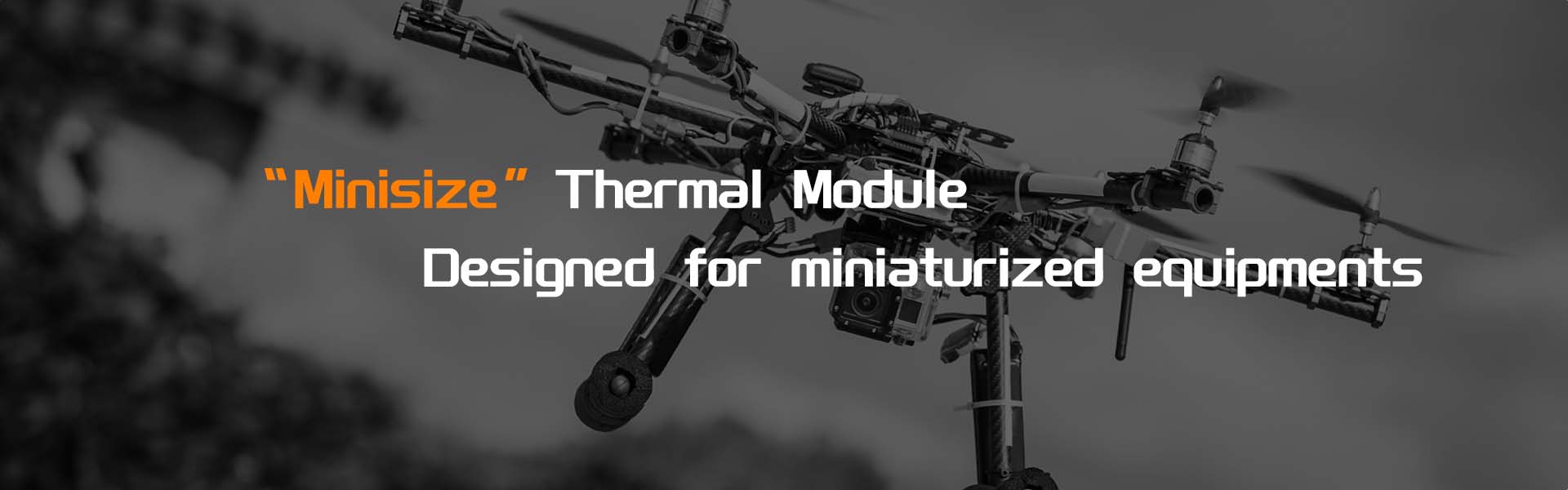 Thermal Module